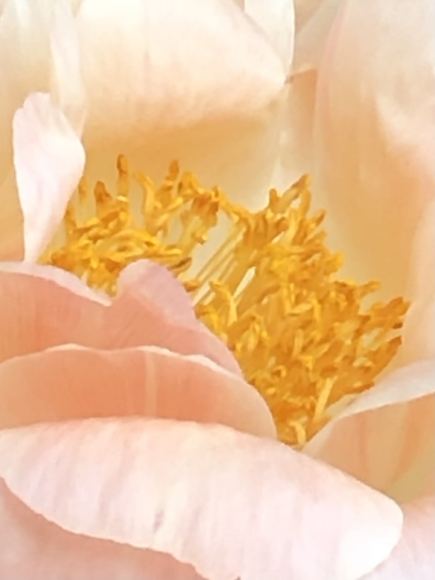 Description of image